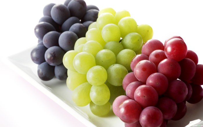 Buah-buahan: Rahasia Kesehatan Tubuh yang Tak Ternilai
