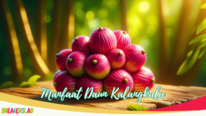 Manfaat Buah Kalangkala