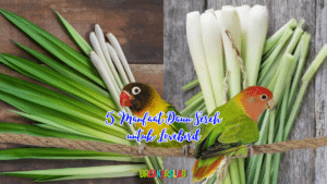 5 Manfaat Daun Sereh untuk Lovebird