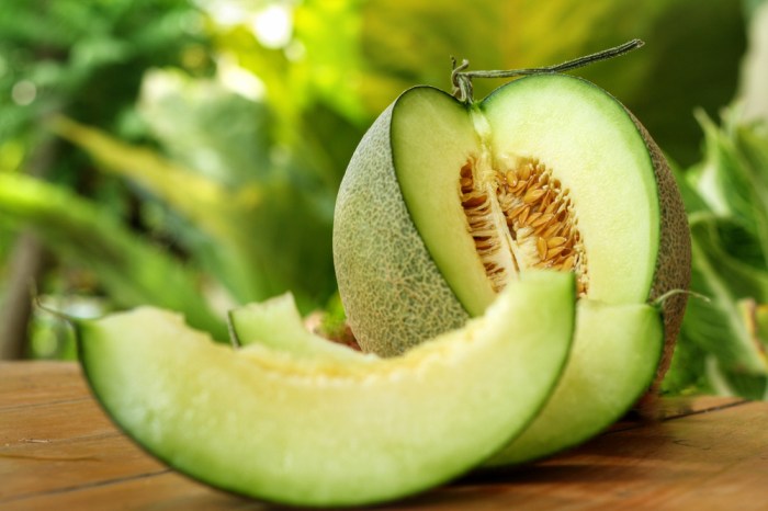 Manfaat Buah Melon: Rahasia Diet Sehat dan Menyegarkan