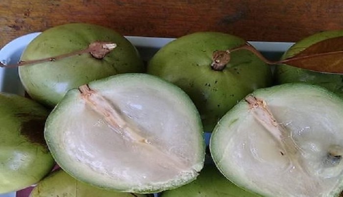 Manfaat Buah Sawo Mentah: Khasiat Tradisional dan Kesehatan Modern