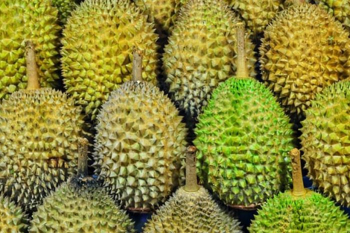 Kandungan dan Manfaat Buah Durian yang Menakjubkan