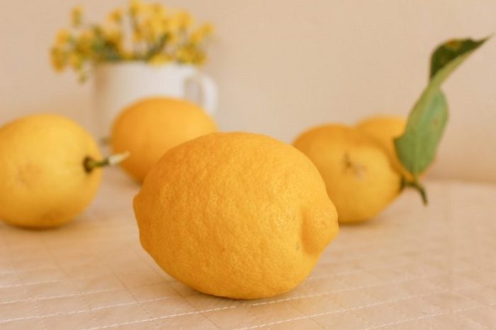 Manfaat Buah Lemon: Rahasia Diet Sehat