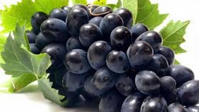 Manfaat Buah Anggur Ungu: Ungkap Kekuatan Antioksidan dan Kesehatan