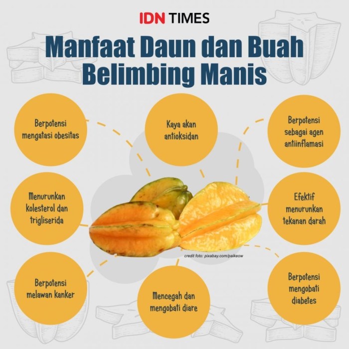 Manfaat Menakjubkan Buah Belimbing untuk Kesehatan Anda