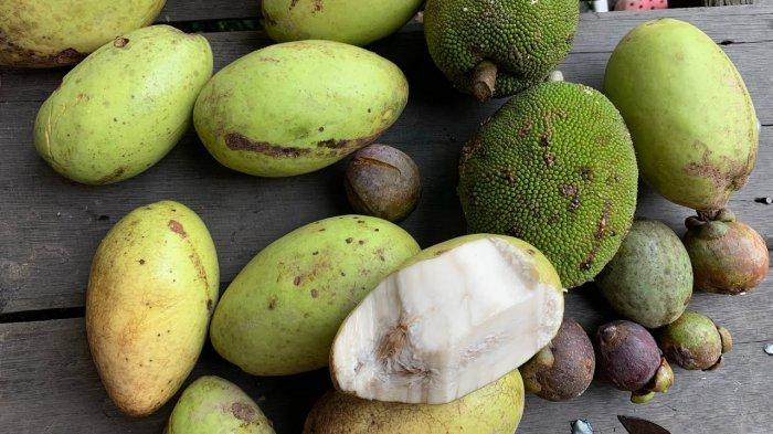 Manfaat Buah Wani: Nutrisi, Kuliner, Kesehatan Kulit, dan Industri Farmasi