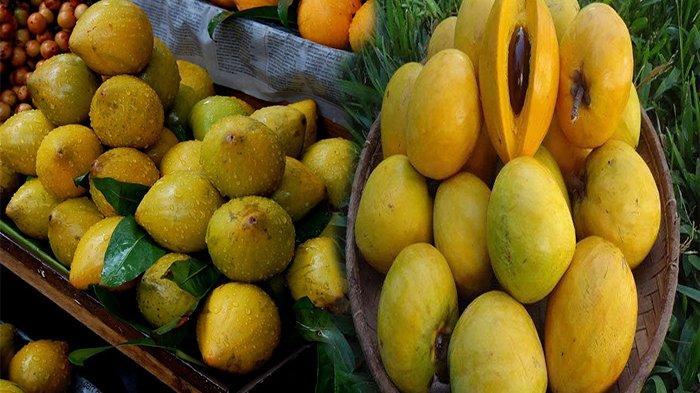 Manfaat Buah Campolay: Dari Kesehatan hingga Kecantikan