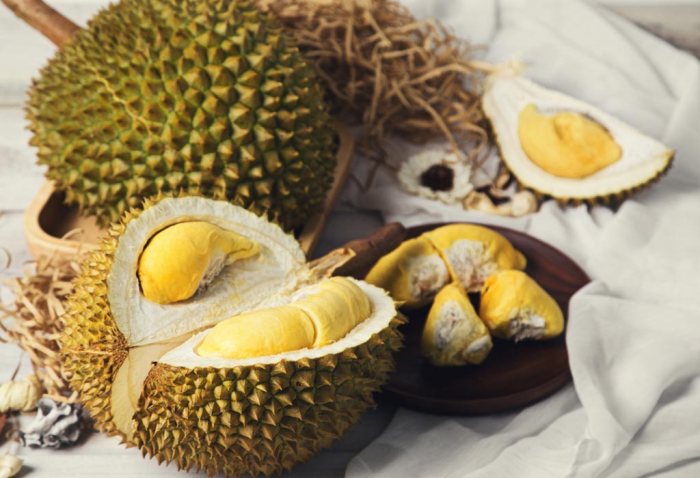 Manfaat Buah Durian untuk Ibu Hamil: Nutrisi, Antioksidan, dan Pencernaan Sehat