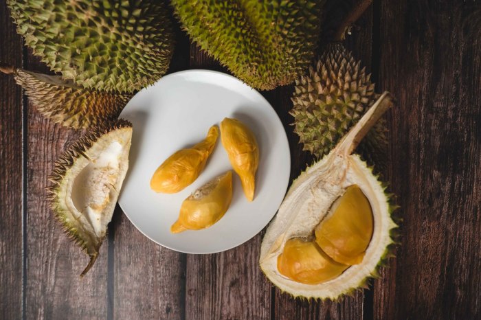 Manfaat Buah Durian untuk Ibu Hamil: Nutrisi, Antioksidan, dan Pencernaan Sehat