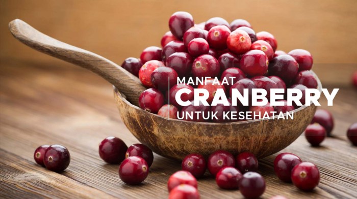 Manfaat Luar Biasa Buah Cranberry untuk Kesehatan dan Kecantikan