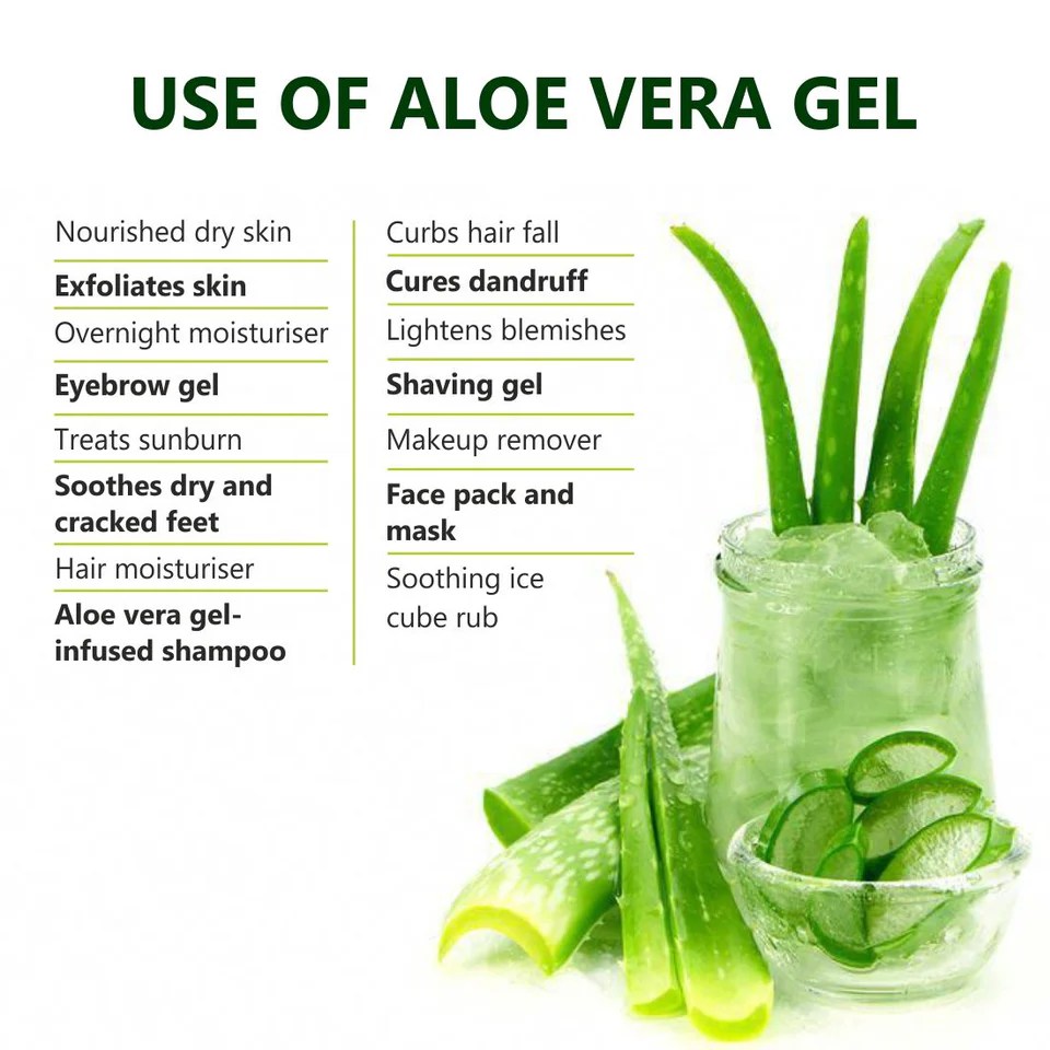 Manfaat Aloe Vera Gel, Ramuan Alami untuk Kesehatan dan Kecantikan