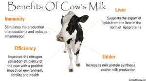 Manfaat Susu Dancow, Sumber Nutrisi untuk Kesehatan, Pertumbuhan, dan Perkembangan