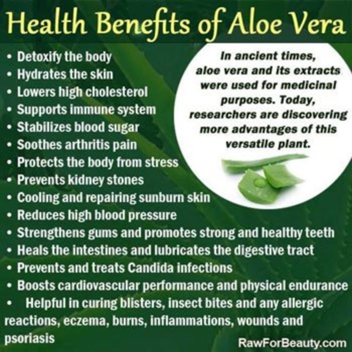 Manfaat Aloe Vera, Solusi Alami untuk Kulit Wajah Sehat