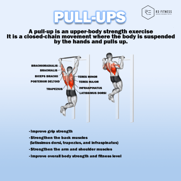 Manfaat Pull Up, Latihan Lengkap untuk Kesehatan dan Kebugaran