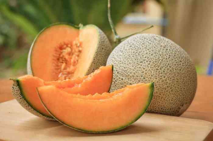 Manfaat Melon, Khasiat Nutrisi untuk Kesehatan dan Kecantikan