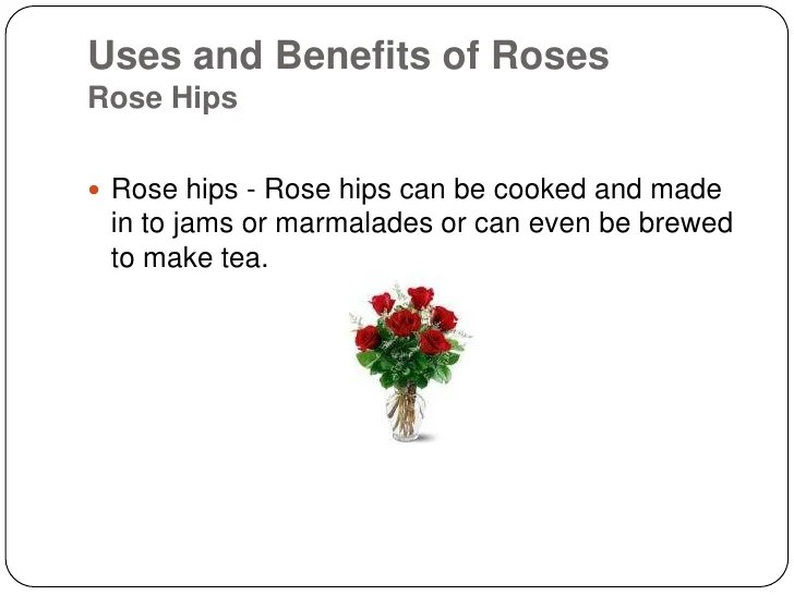 Manfaat Bunga Mawar, Keindahan, Kesehatan, dan Simbolisme