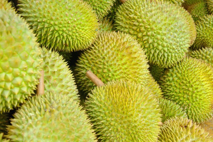 Manfaat Kulit Durian, Khasiat Tersembunyi untuk Kesehatan dan Kecantikan