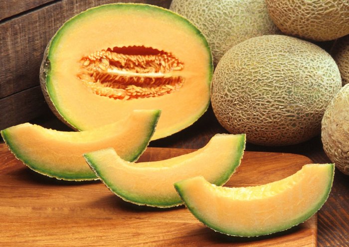 Manfaat Melon, Khasiat Nutrisi untuk Kesehatan dan Kecantikan