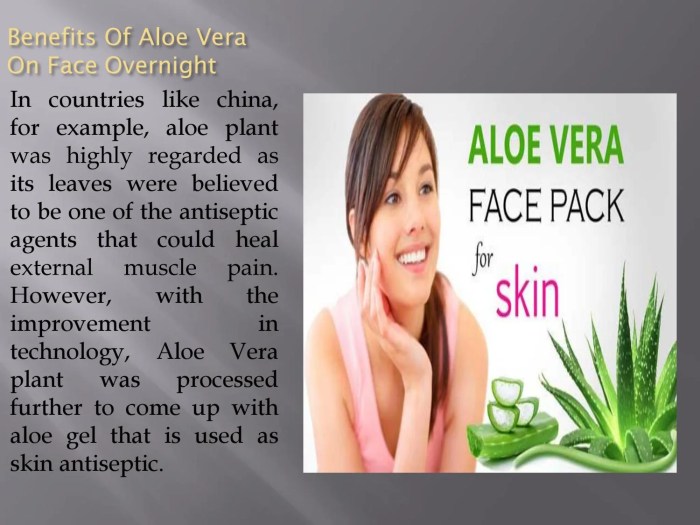 Manfaat Aloe Vera, Solusi Alami untuk Kulit Wajah Sehat
