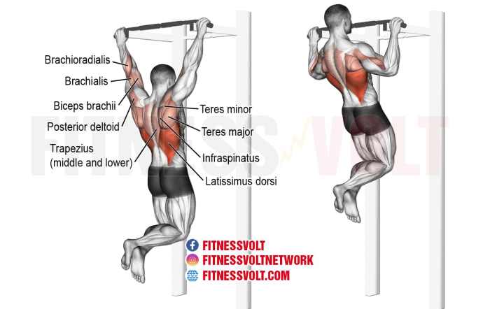 Manfaat Pull Up, Latihan Lengkap untuk Kesehatan dan Kebugaran