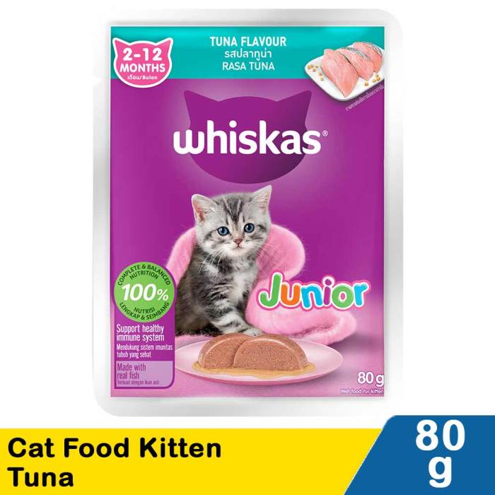 Manfaat Whiskas Junior, Pertumbuhan Optimal dan Kesehatan Anak Kucing