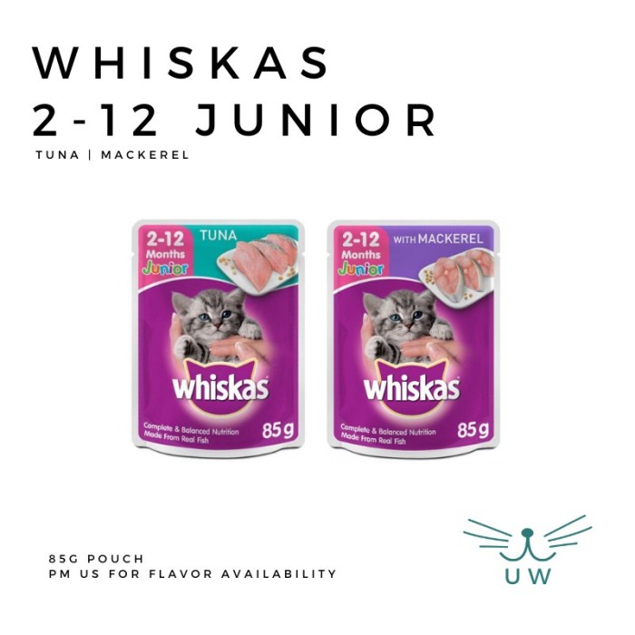 Manfaat Whiskas Junior, Pertumbuhan Optimal dan Kesehatan Anak Kucing