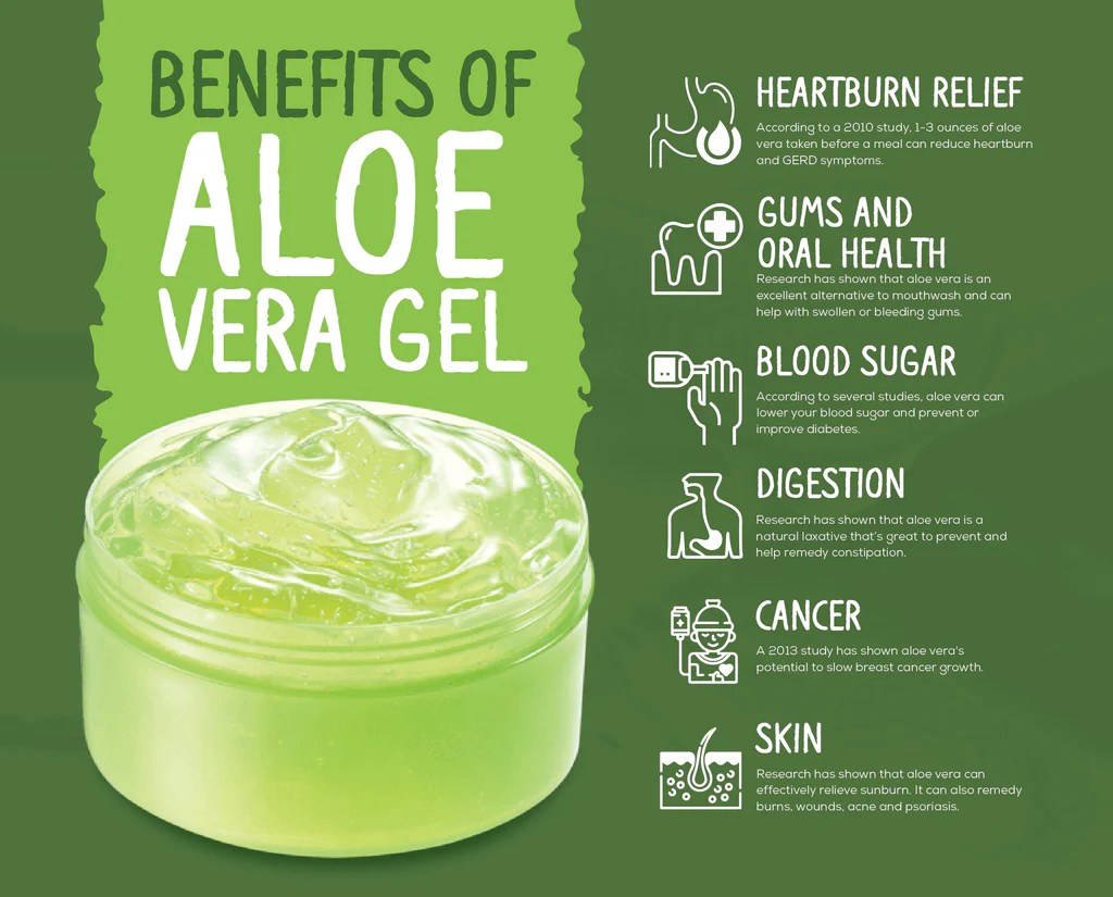 Manfaat Aloe Vera Gel, Rahasia Kesehatan dan Kecantikan