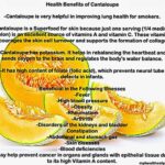 Manfaat Buah Melon, Nutrisi, Kesehatan, dan Kecantikan