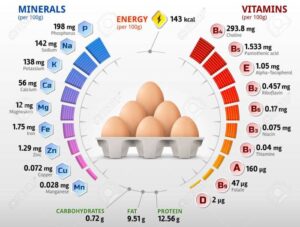 Manfaat Telur Ayam Kampung, Kandungan Gizi dan Manfaat Kesehatan