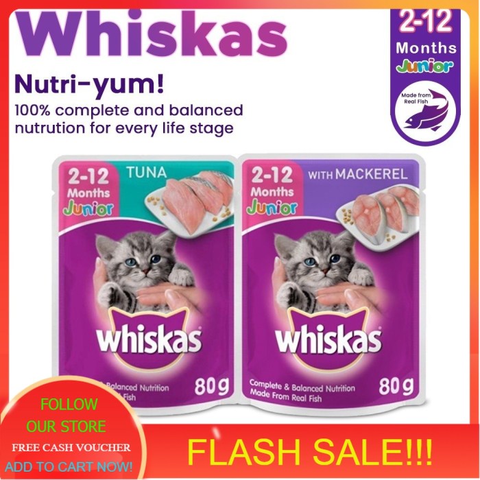 Manfaat Whiskas Junior, Pertumbuhan Optimal dan Kesehatan Anak Kucing