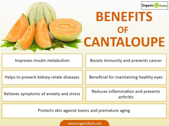 Manfaat Buah Melon, Nutrisi, Kesehatan, dan Kecantikan