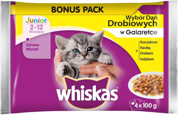 Manfaat Whiskas Junior, Pertumbuhan Optimal dan Kesehatan Anak Kucing