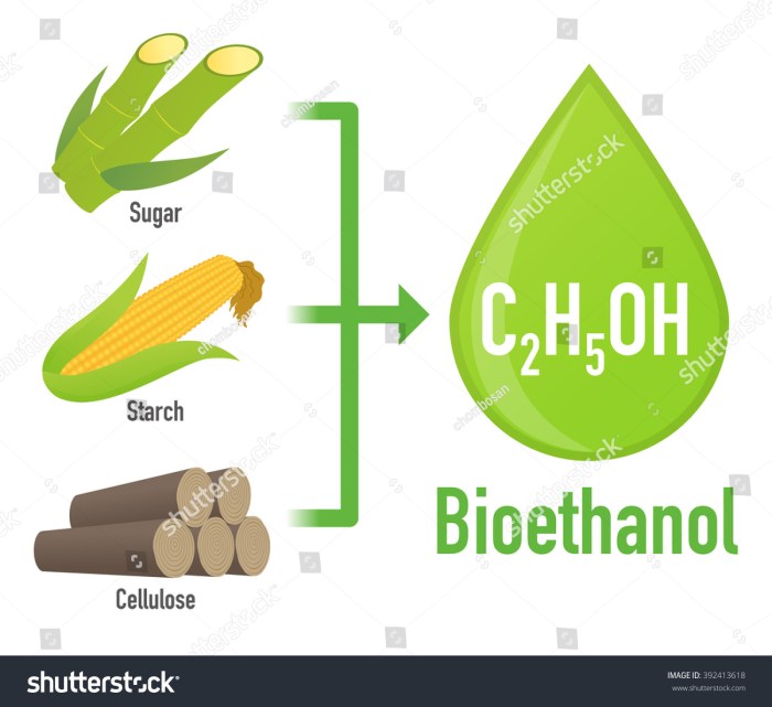 Bioetanol, Pengganti Bahan Bakar Fosil yang Berkelanjutan