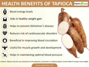 Manfaat Tepung Tapioka untuk Kesehatan, Mendukung Pencernaan, Jantung, dan Tulang