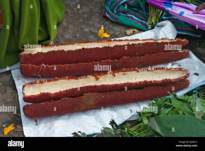 Manfaat Buah Merah Papua, Sumber Nutrisi dan Antioksidan untuk Kesehatan