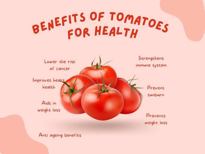 Manfaat Tomat, Nutrisi, Kesehatan, dan Kecantikan