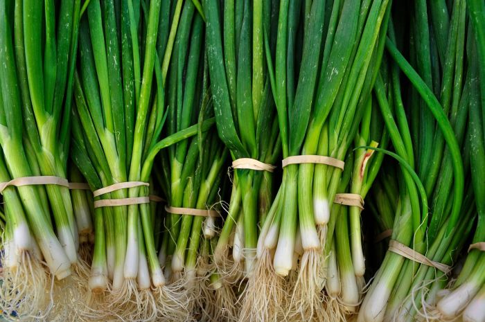 Cara Membuat Pempek Dos Daun Bawang, Resep Gurih dan Renyah