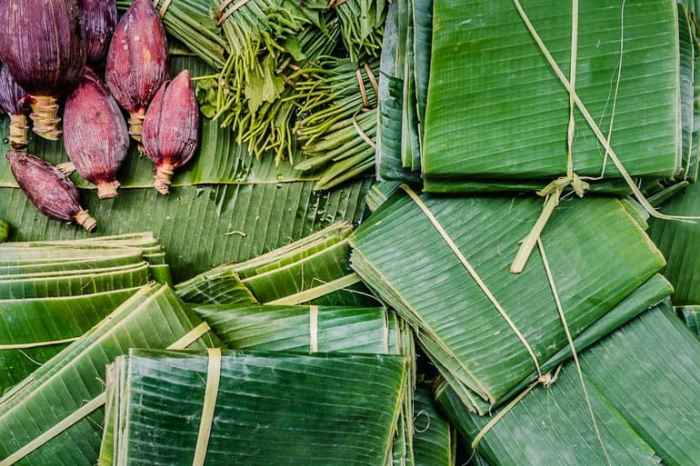 Simpan Daun Pisang Agar Awet, Praktis dan Mudah