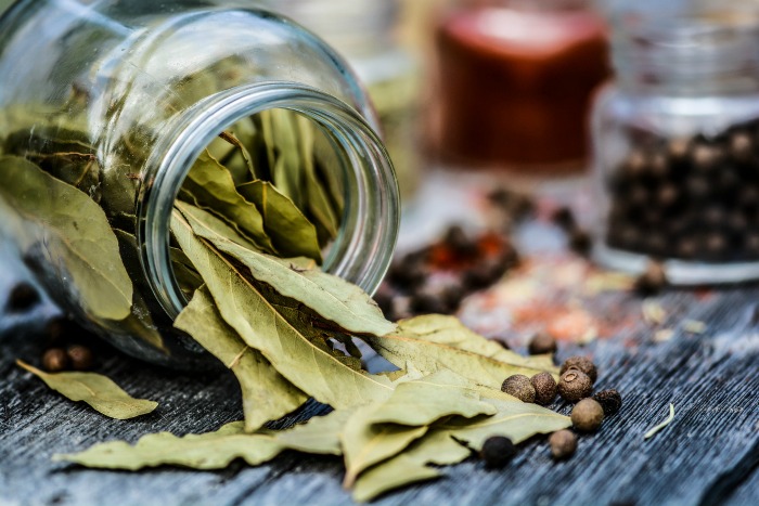 Cara Merebus Daun Salam, Rahasia Aroma Sedap Masakan Anda