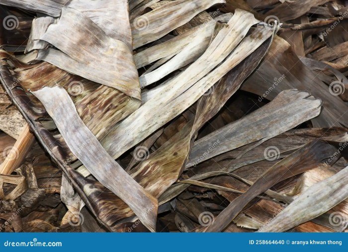 Membuat Bunga Indah dari Daun Pisang Kering