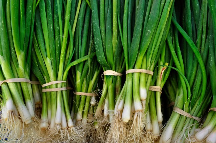 Trik Jitu Menanam Daun Bawang dari Batang