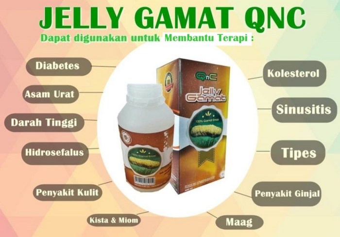 Manfaat QnC Jelly Gamat, Ramuan Alami untuk Kesehatan Optimal