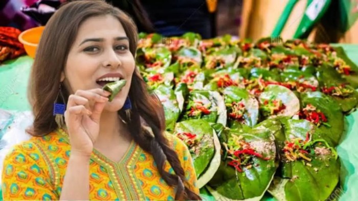 Atasi Gatal dengan Daun Sirih, Cara Ampuh dan Praktis