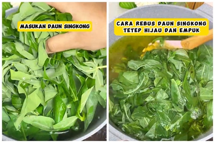 Rebus Daun Singkong, Panduan Praktis untuk Hidangan Lezat