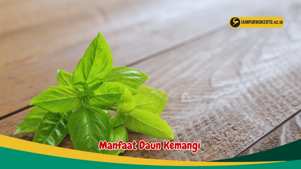 Manfaat kemangi untuk detoksifikasi tubuh