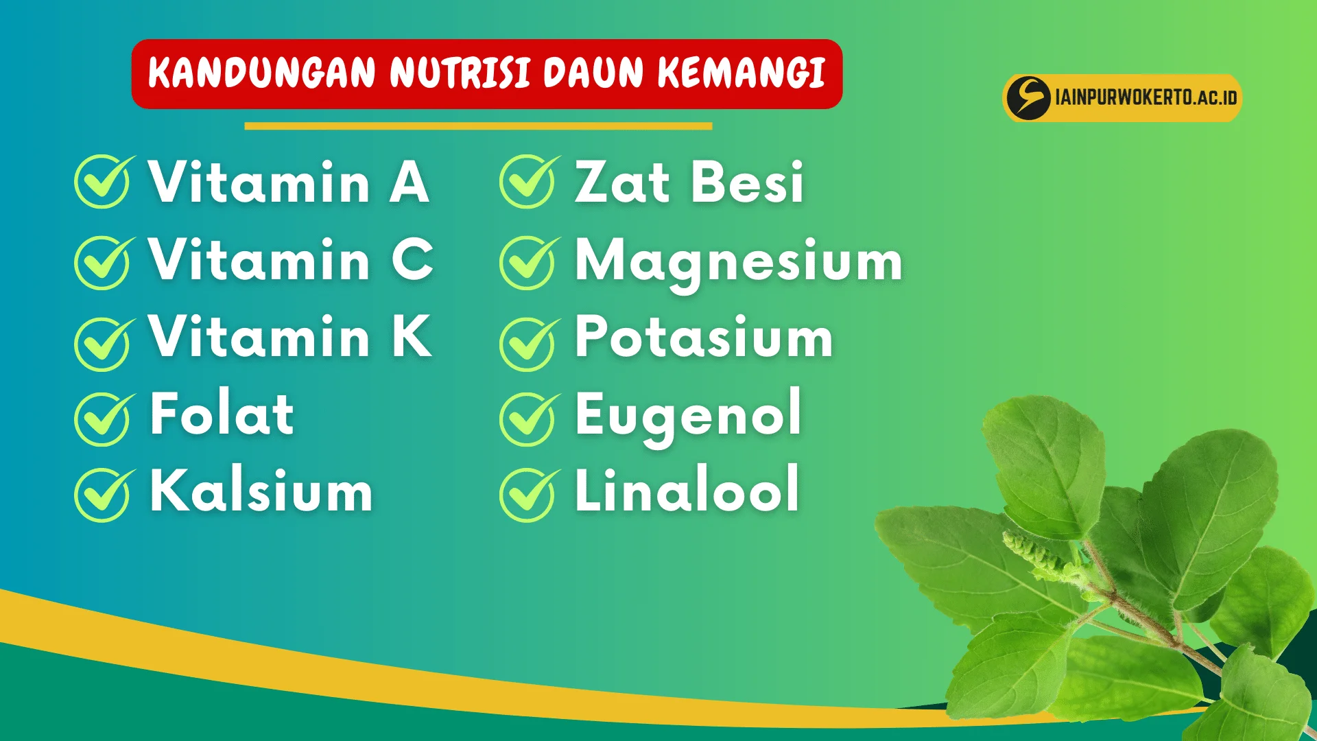 Manfaat kemangi untuk meningkatkan imun tubuh