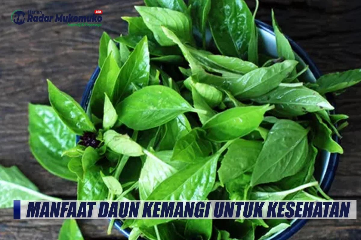 Manfaat kemangi untuk meningkatkan nafsu makan